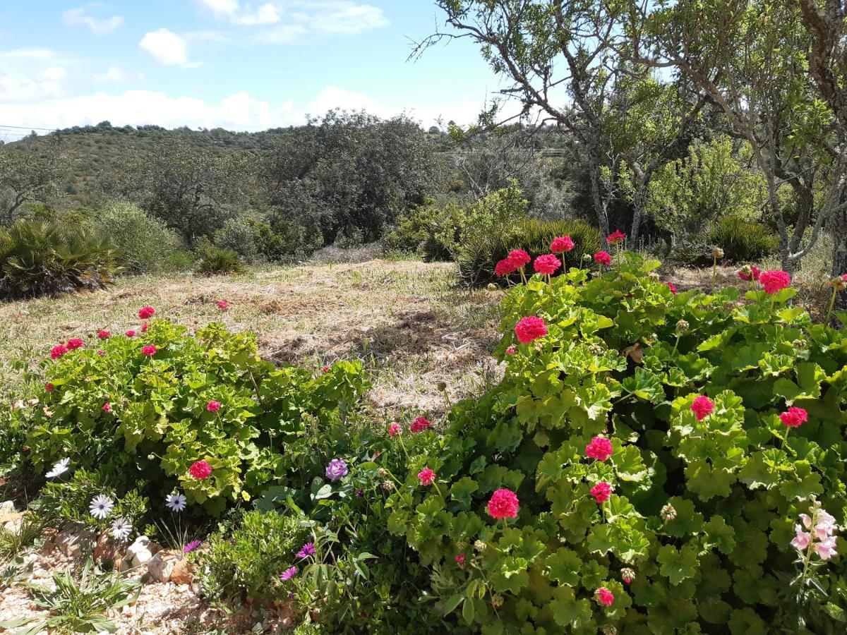 Quinta Da Jolanda-Happy Family Farm Apartman Lagos Kültér fotó